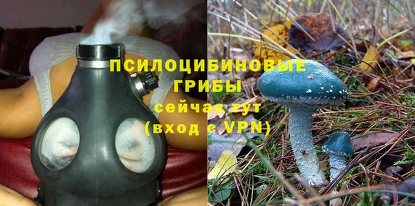 spice Алексеевка