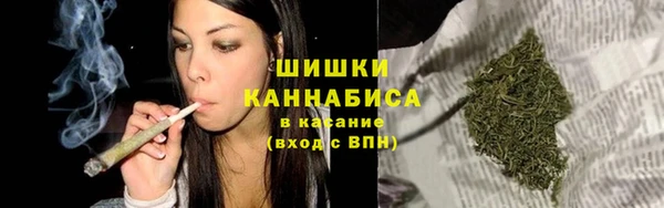 шишки Ростов