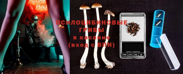 шишки Ростов