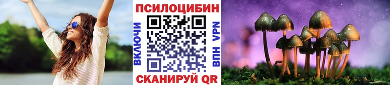 Галлюциногенные грибы Psilocybine cubensis Тайшет