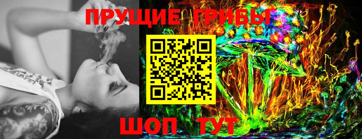 Галлюциногенные грибы GOLDEN TEACHER  Вход с VPN  Тайшет  Псилоцибиновые грибы Magic Shrooms 